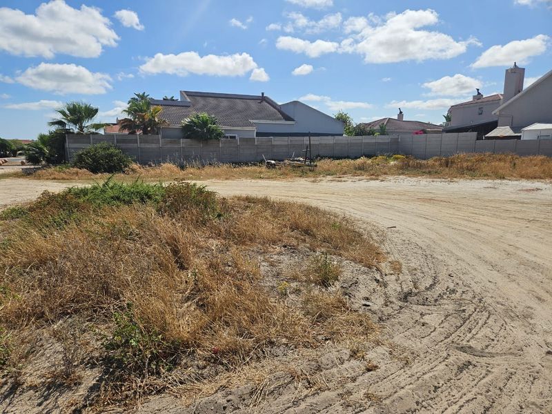 Modern Plot & Plan Opportunity - Photo 4