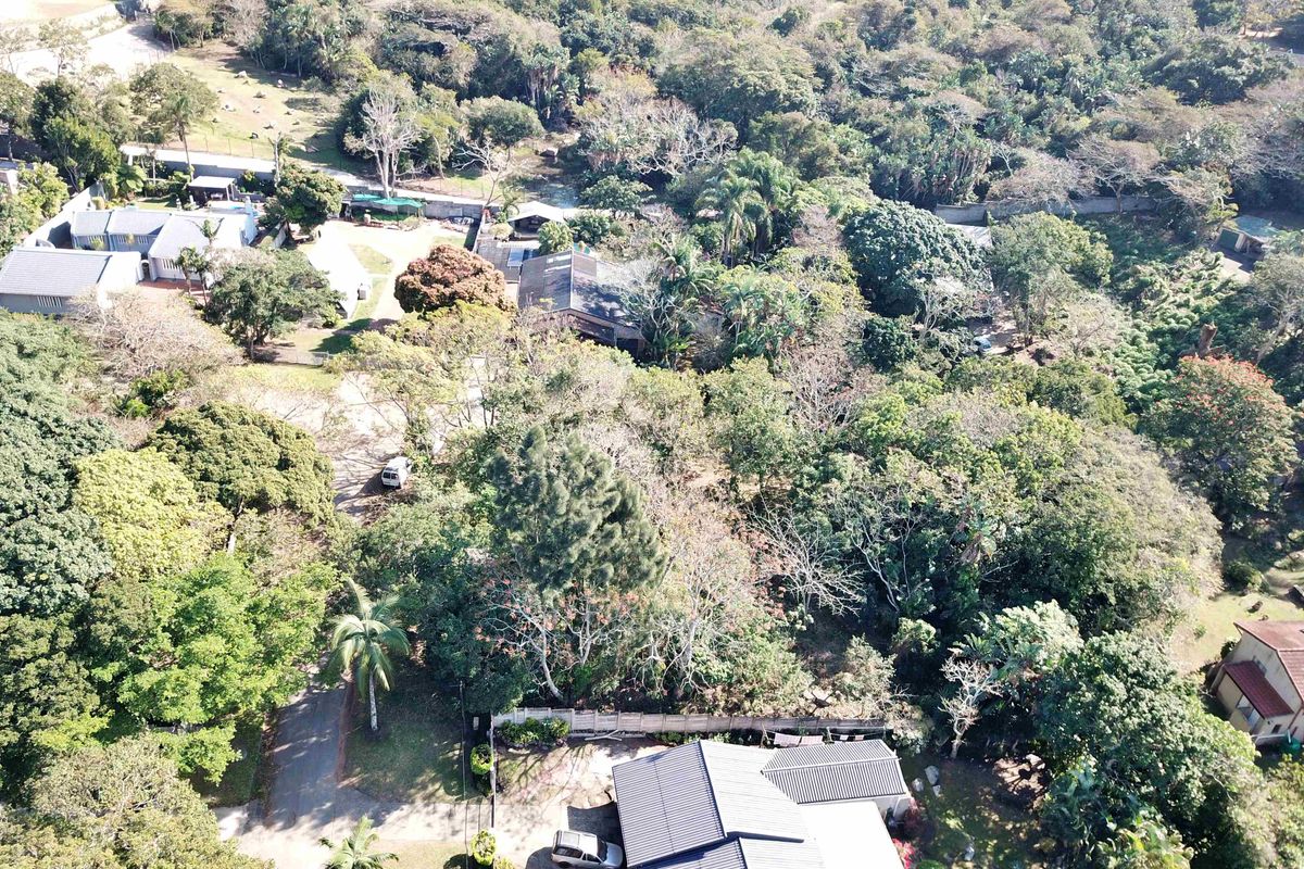Aerial view of a residential property featuring extensive mature trees, established vegetation, and surrounding neighborhood infrastructure.