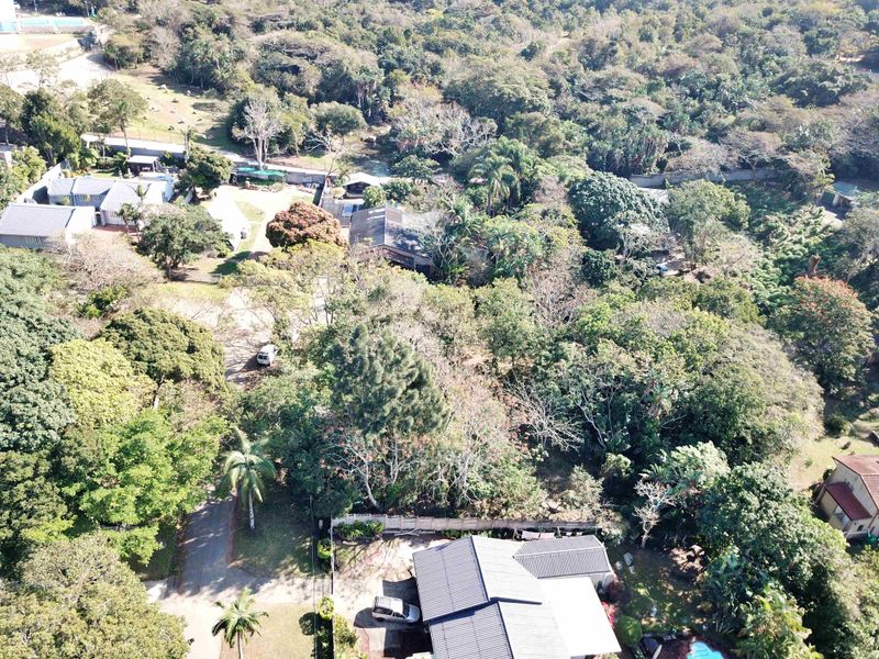 Aerial view of a residential property featuring extensive mature trees, established vegetation, and surrounding neighborhood infrastructure.