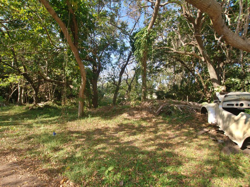A view of a vacant residential plot featuring mature trees and natural vegetation, offering a private setting for potential development.
