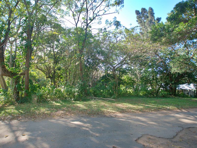 A view of a vacant residential plot featuring mature trees and a grassed area, accessible from the adjacent paved road.