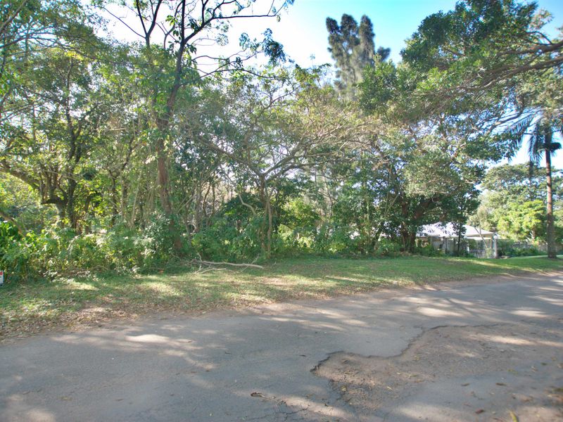 A view of a vacant residential plot featuring mature trees and a grass verge, situated along a paved road.