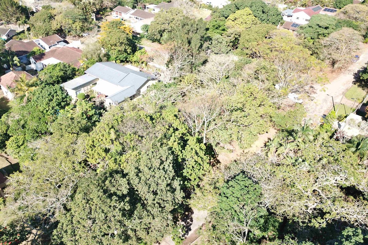 An aerial view of a residential plot featuring dense mature trees and surrounding neighborhood infrastructure.