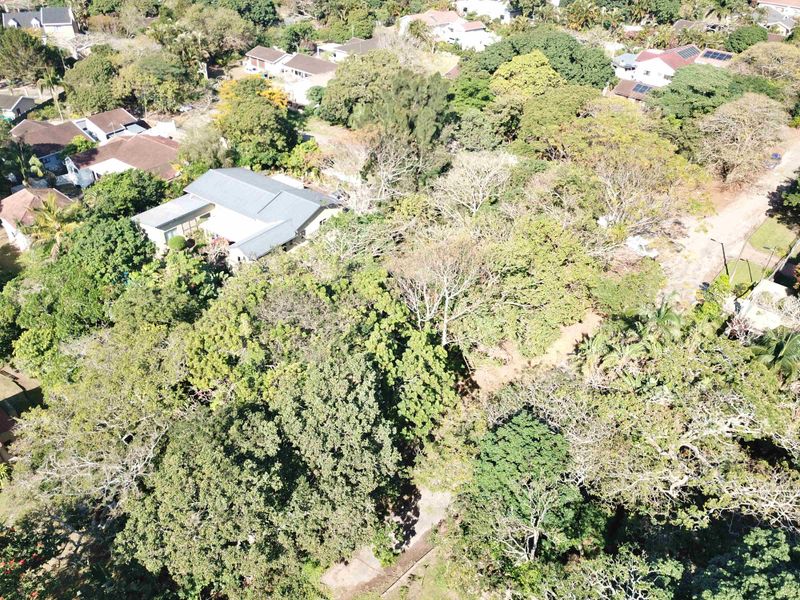 An aerial view of a residential plot featuring dense mature trees and surrounding neighborhood infrastructure.