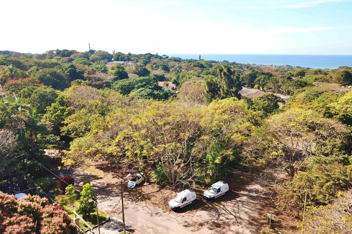 Aerial view of a vacant residential plot featuring mature trees and coastal landscape views in the distance.
