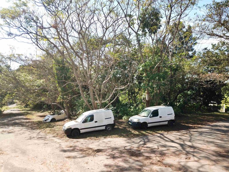 A view of a vacant residential plot featuring mature trees and natural ground cover.