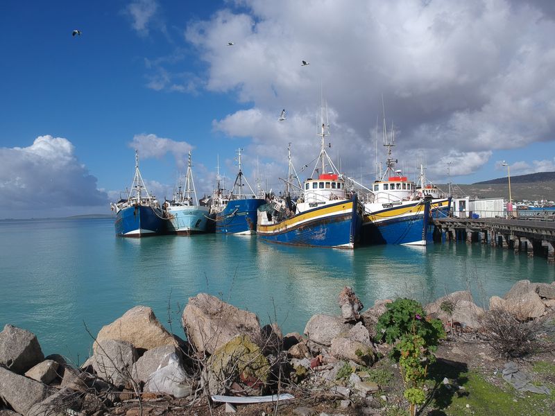 A scenic view of a harbour featuring multiple fishing vessels docked at a jetty under a cloudy blue sky.