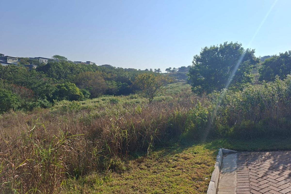 Opportunity in Palm Lakes Family Estate - Photo 3