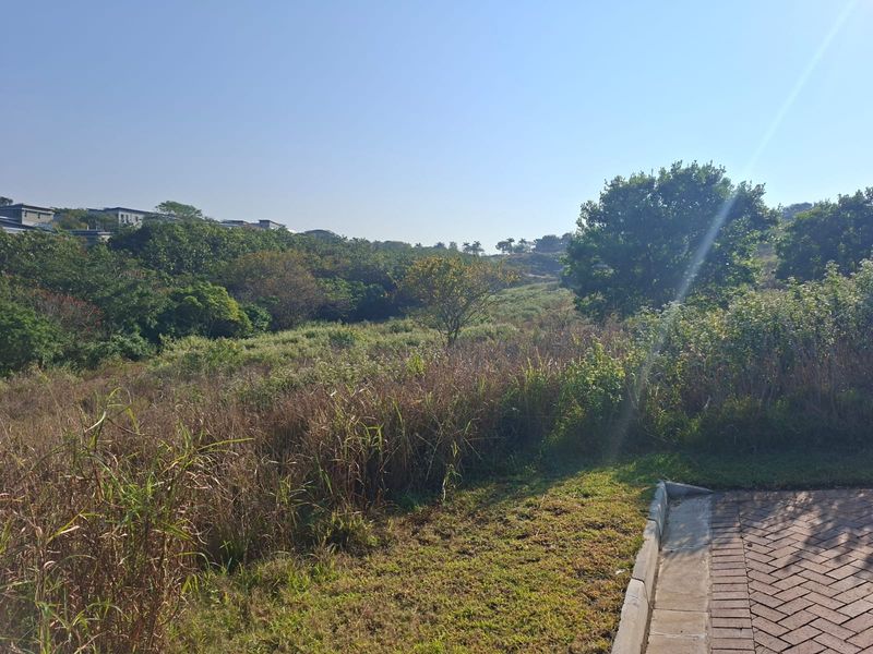 Opportunity in Palm Lakes Family Estate - Photo 3