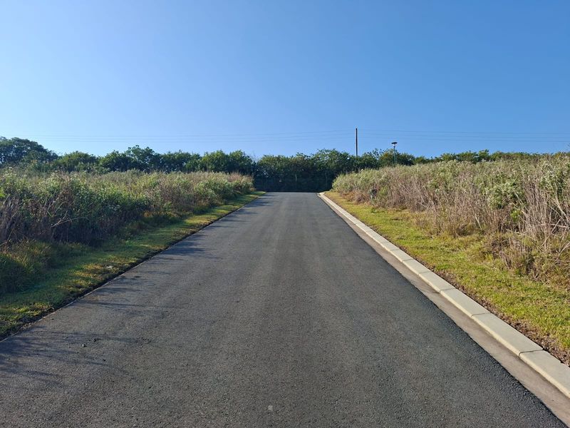 A view of a paved residential street with concrete curbing, leading towards a vacant plot of land with natural vegetation.