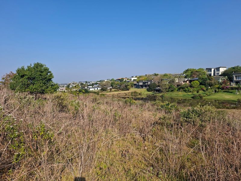 Opportunity in Palm Lakes Family Estate - Photo 3