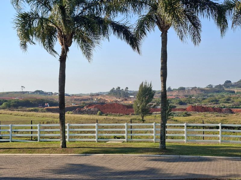 A scenic view of the surrounding landscape featuring a white picket fence, mature palm trees, and a paved foreground.