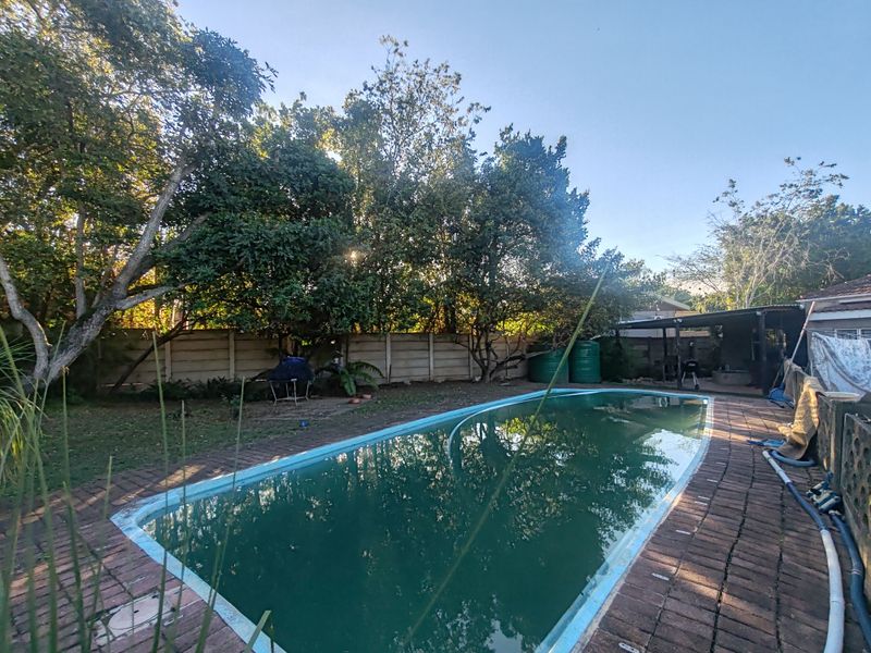 Outdoor pool area featuring a swimming pool with brick paving surround, enclosed by a precast concrete boundary wall and mature trees.