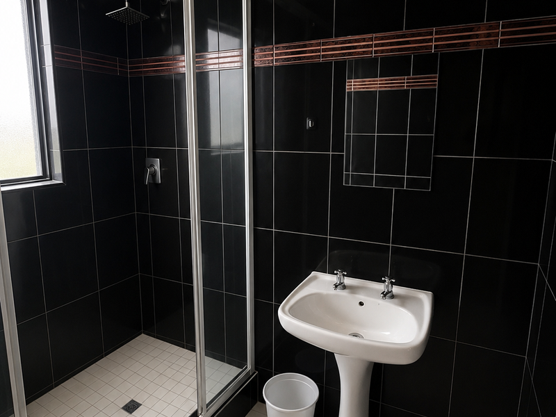 A modern bathroom featuring a glass-enclosed shower, pedestal basin, and striking black wall tiles with decorative accents.