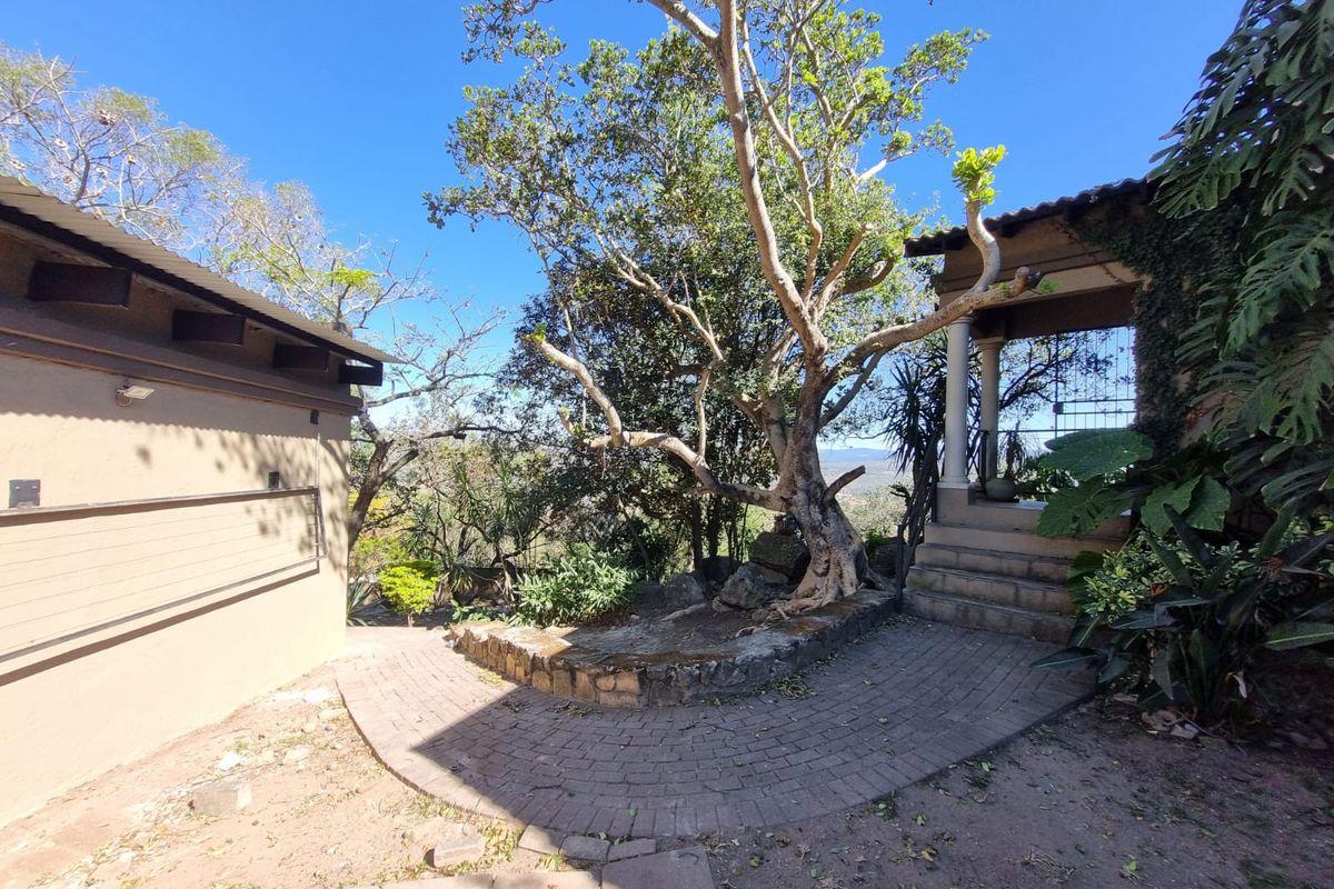 A rear outdoor area featuring a paved patio, stone retaining wall, and a covered veranda with concrete steps leading to the garden.