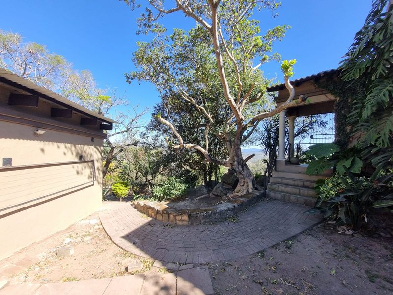 A rear outdoor area featuring a paved patio, stone retaining wall, and a covered veranda with concrete steps leading to the garden.