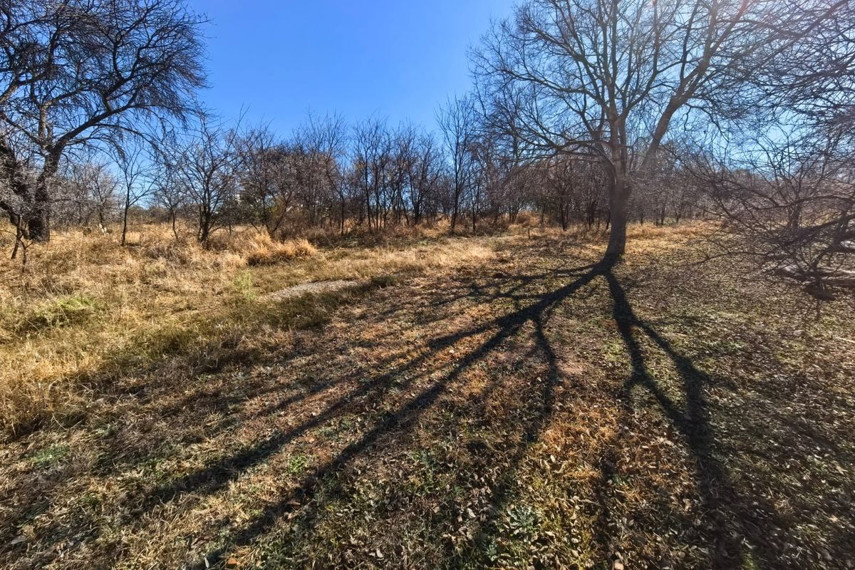 A view of the vacant residential land featuring mature trees and natural dry grass coverage.