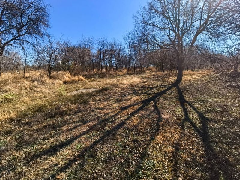 Vacant stand for sale in Parys - Photo 4