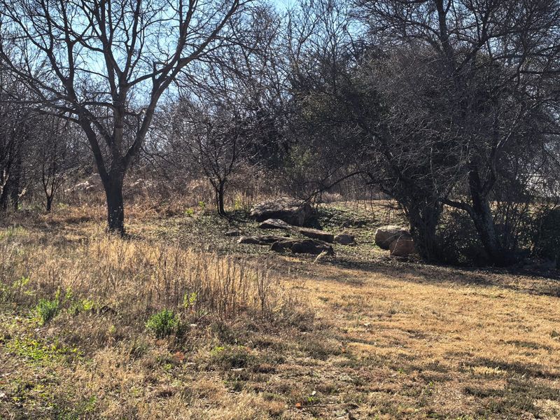 Vacant stand for sale in Parys - Photo 7