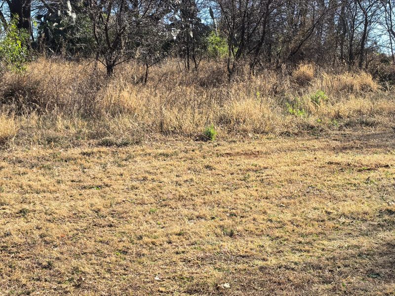 Vacant stand for sale in Parys - Photo 6