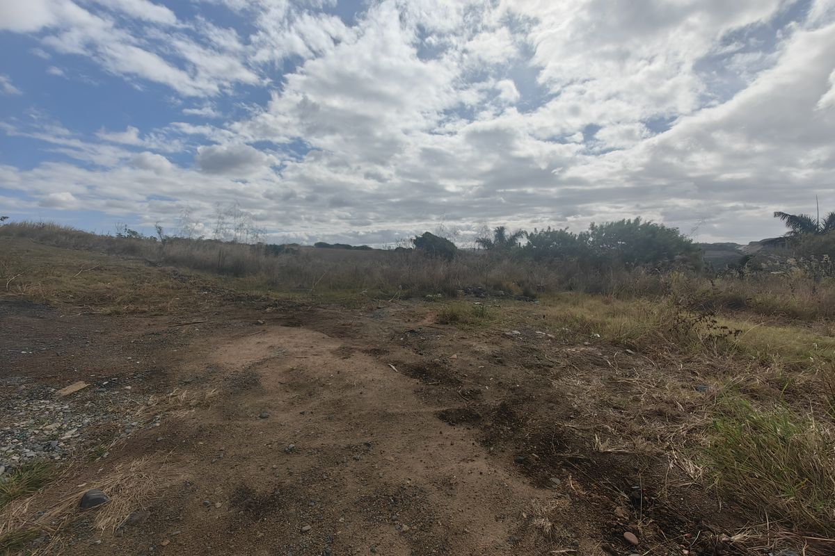 An open, undeveloped residential plot featuring natural vegetation and expansive sky views, suitable for future construction.