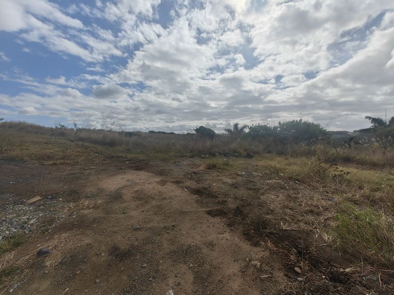 An open, undeveloped residential plot featuring natural vegetation and expansive sky views, suitable for future construction.