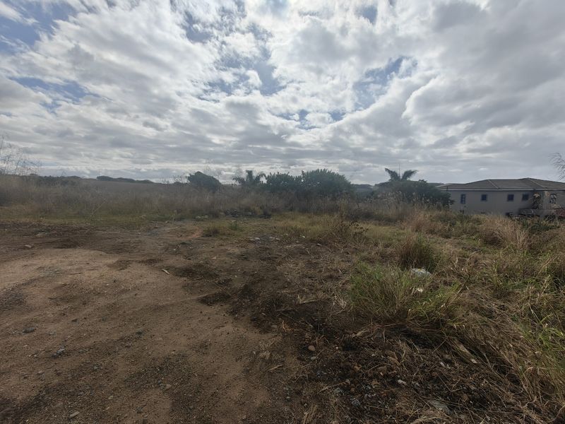 A view of an undeveloped residential plot featuring natural vegetation and open land, suitable for future construction.