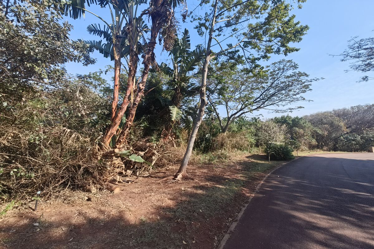 A view of the vacant residential land plot featuring mature trees and direct access to a paved street.