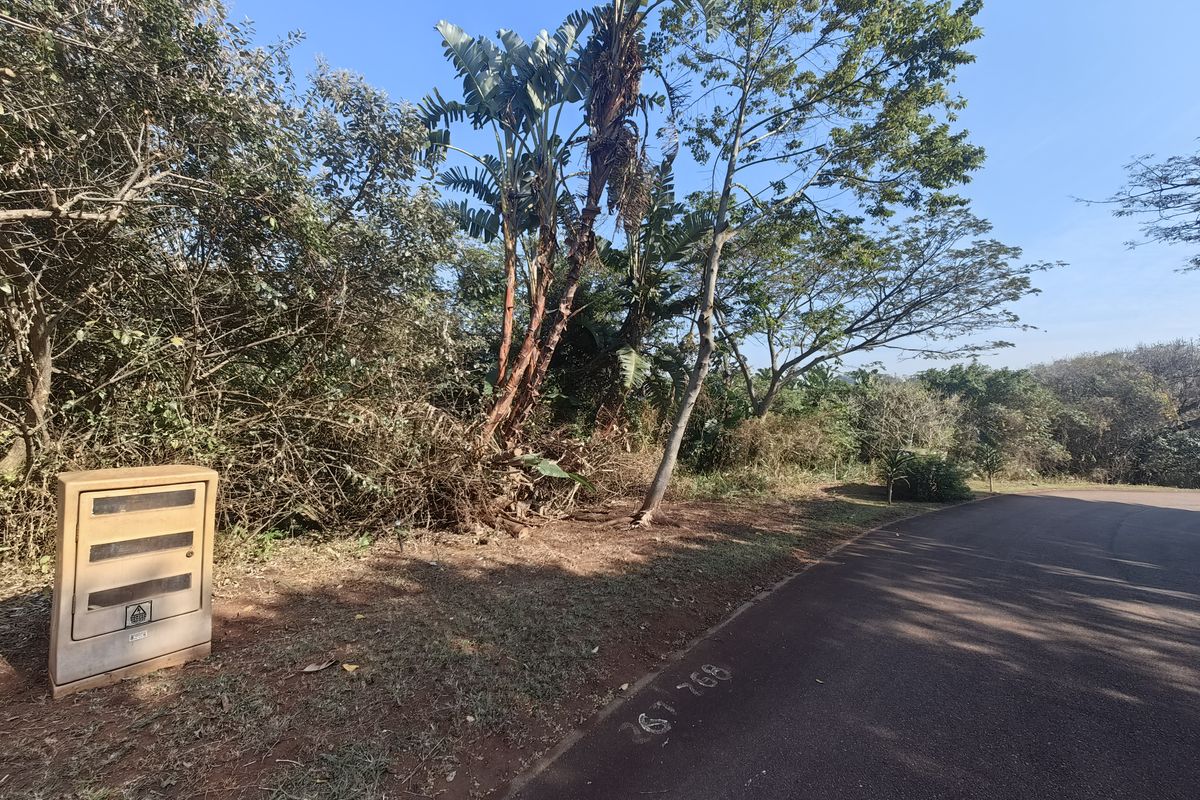 A street-level view of a vacant residential plot featuring established trees, vegetation, and a roadside electrical utility box.