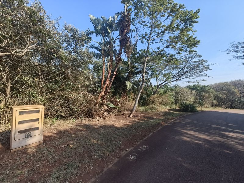 A street-level view of a vacant residential plot featuring established trees, vegetation, and a roadside electrical utility box.