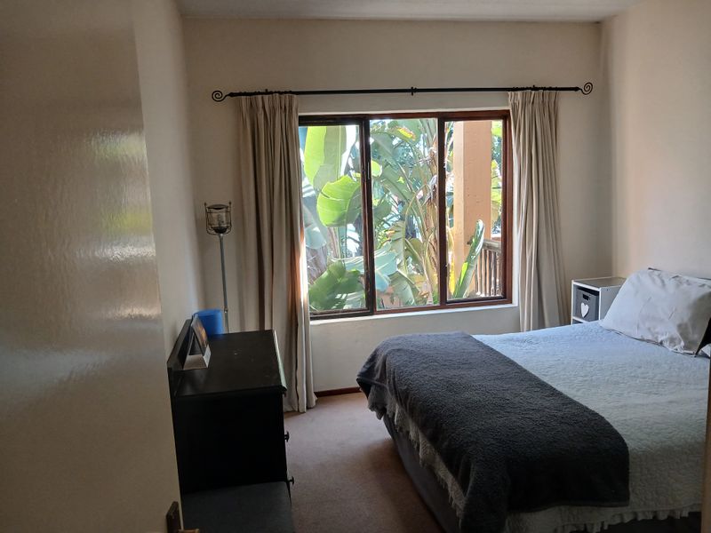 A standard bedroom featuring a large window with curtain rod, carpeted flooring, and neutral wall finishes.