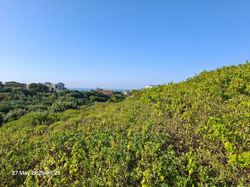 A view of the coastal landscape and surrounding residential properties from the vacant land plot.