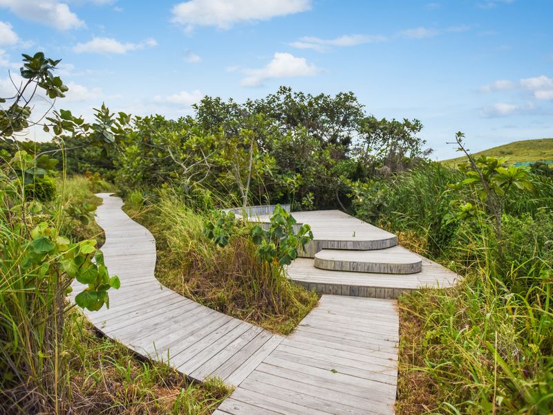A scenic timber boardwalk and elevated viewing platform integrated into the natural landscape, providing a peaceful pathway through the garden area.