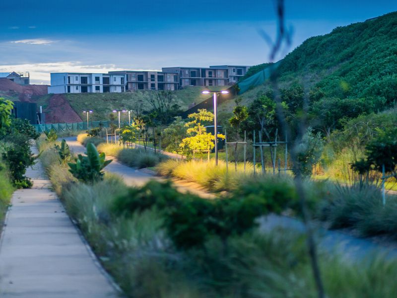 A view of a landscaped residential walkway and street lighting at dusk, with residential development visible in the background.
