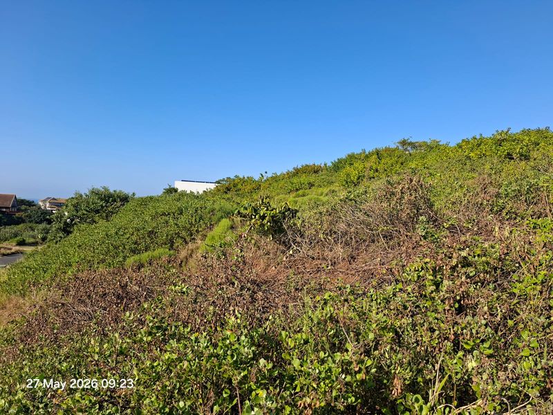 A view of a sloped, undeveloped residential plot covered in dense natural vegetation under a clear blue sky.