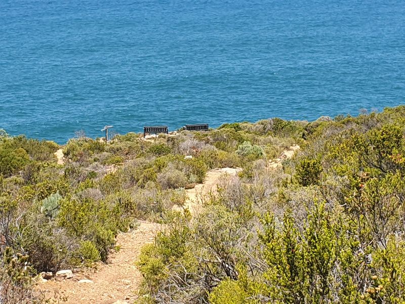 A scenic view of the coastline featuring natural vegetation and a walking path leading toward the ocean.