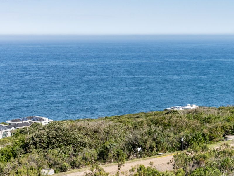 A scenic elevated view overlooking the ocean and coastal vegetation, showcasing the natural landscape and surrounding residential area.