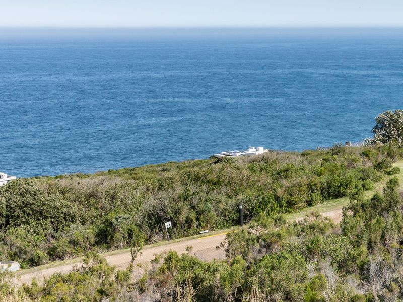 A scenic elevated view of the coastal landscape featuring native vegetation and a paved access road overlooking the ocean.