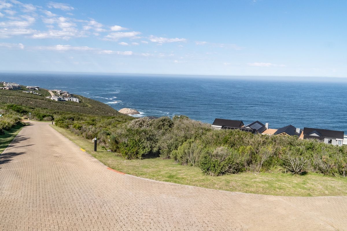 A scenic view of the coastline and ocean from a paved residential road within the estate.