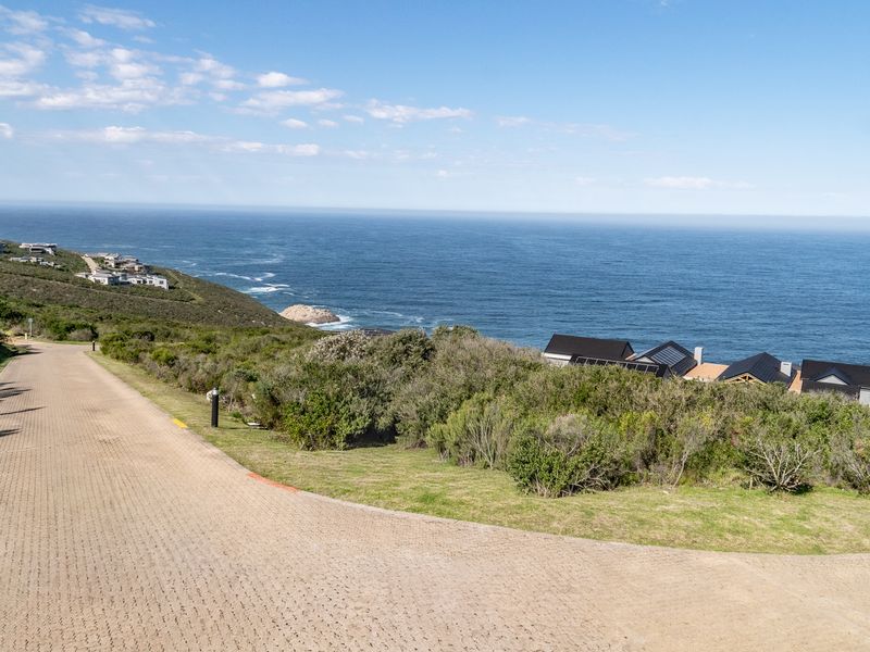 A scenic view of the coastline and ocean from a paved residential road within the estate.