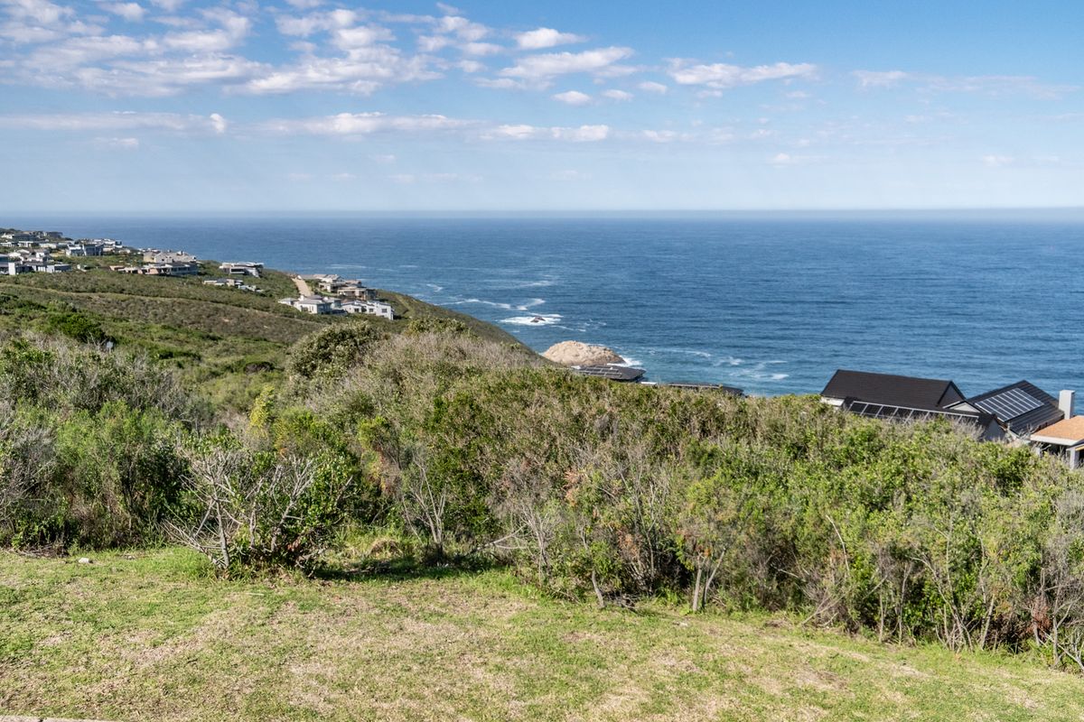 A scenic elevated view overlooking the coastline, ocean, and surrounding residential estate landscape.
