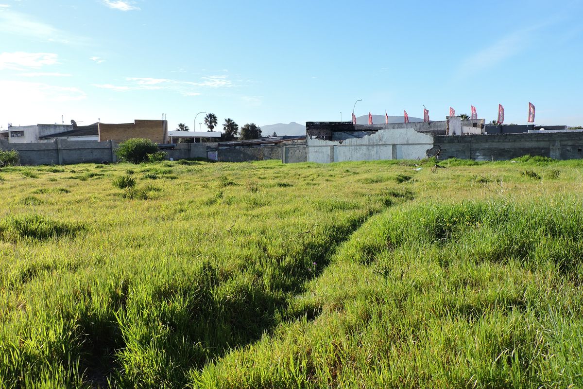 A vacant residential plot featuring overgrown grass and a perimeter boundary wall in need of maintenance.