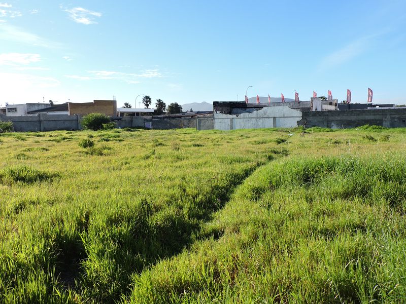 A vacant residential plot featuring overgrown grass and a perimeter boundary wall in need of maintenance.