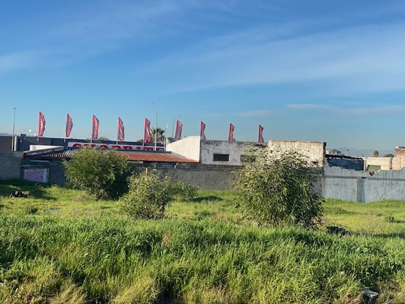 A view of a vacant residential plot featuring overgrown grass and a perimeter boundary wall with adjacent commercial structures in the background.