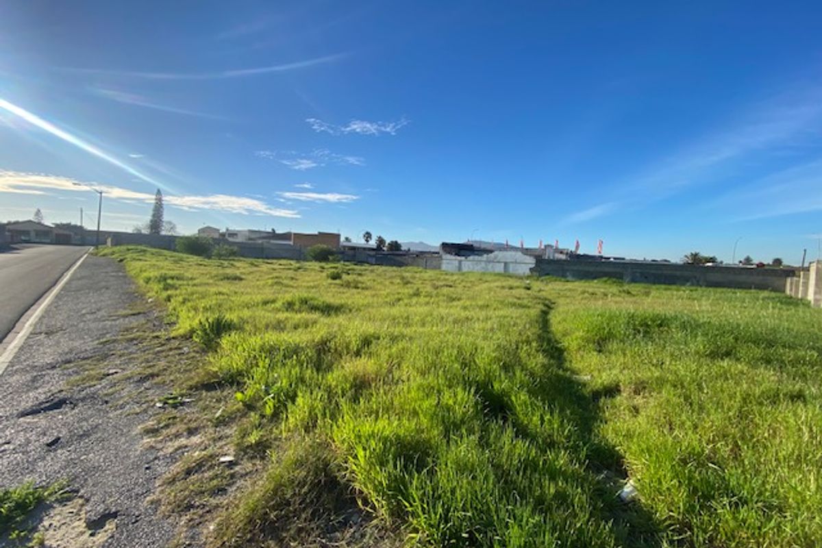 A vacant residential plot of land featuring grass coverage, boundary walls, and direct access to a paved street.