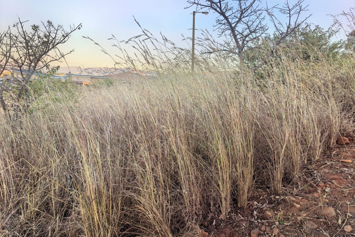 Prime 1131m2 vacant land for sale in Cashan, Rustenburg—ideal for your dream home! - Photo 5
