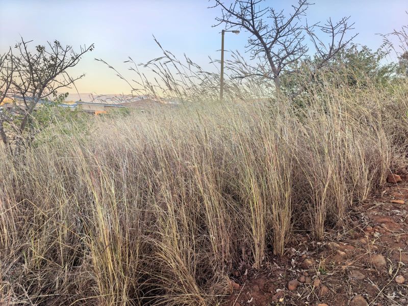 Prime 1131m2 vacant land for sale in Cashan, Rustenburg—ideal for your dream home! - Photo 5
