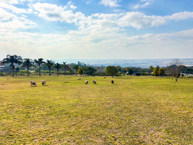 A scenic view of an expansive open pasture with mature trees and distant landscape vistas under a bright blue sky.