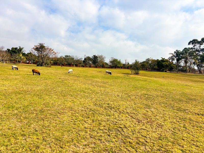 A large, open grassed garden area featuring perimeter fencing and mature trees, providing a spacious outdoor setting.