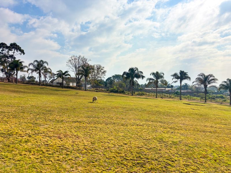 A large, open grassy garden area featuring mature palm trees and perimeter fencing, offering a spacious outdoor setting.
